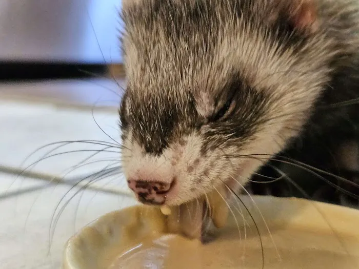 Vetco Total Care Animal Hospital Picture 3