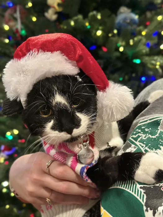 Vetco Total Care Animal Hospital Picture 5