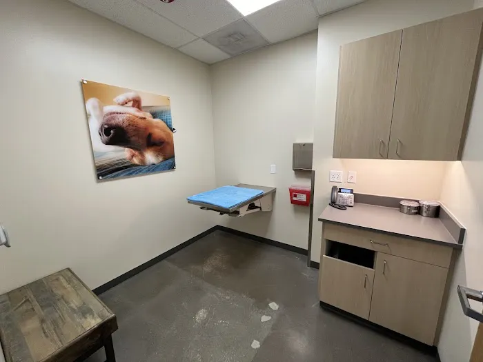 Vetco Total Care Animal Hospital Picture 8