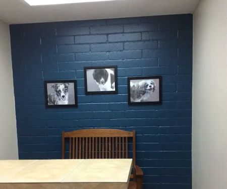 Blue Valley Animal Hospital