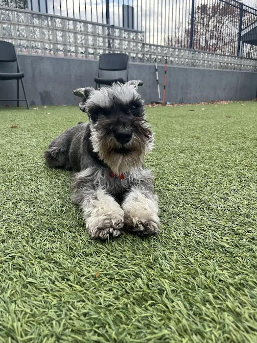 Blue Valley Animal Hospital Picture 2