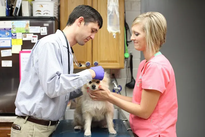 Blue Valley Animal Hospital Picture 4