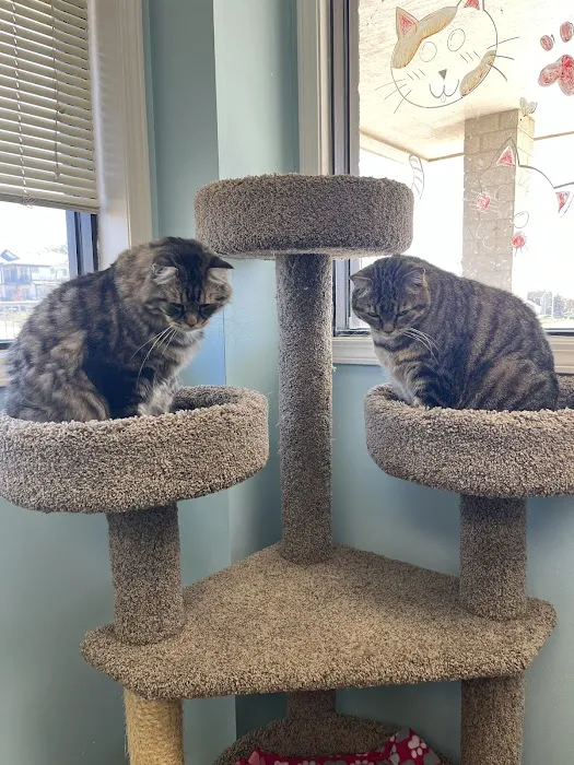 Blue Valley Animal Hospital Picture 3