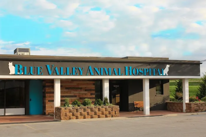 Blue Valley Animal Hospital Picture 6