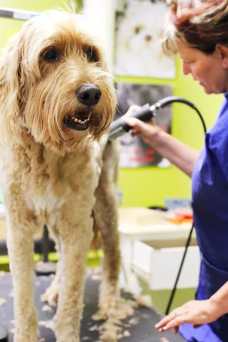 Blue Valley Animal Hospital Picture 10