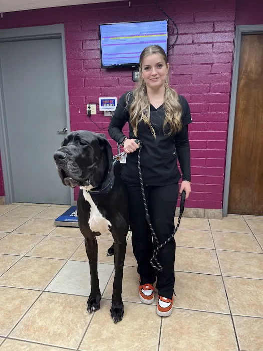 Blue Valley Animal Hospital Picture 9