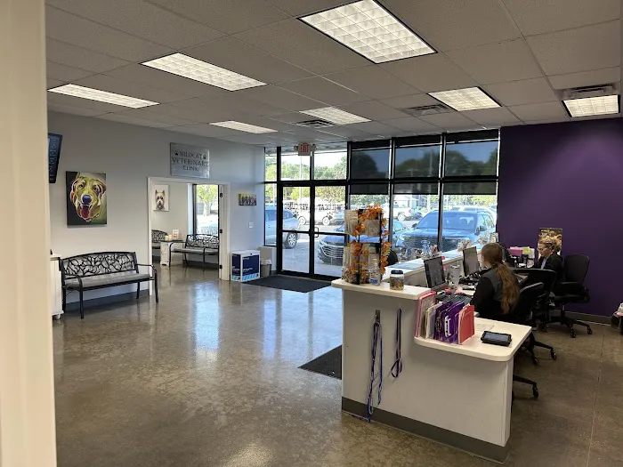 Wildcat Veterinary Clinic Picture 2