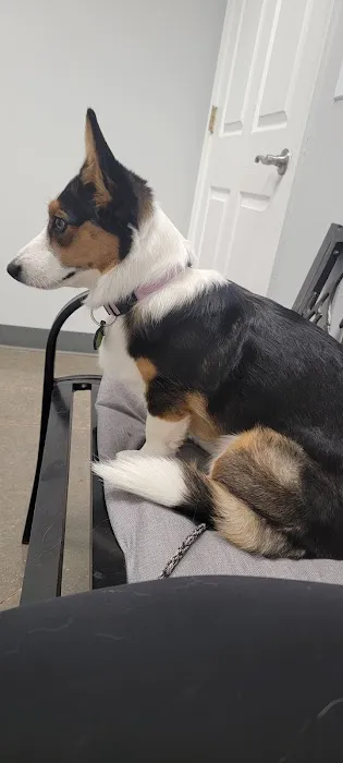 Wildcat Veterinary Clinic Picture 4