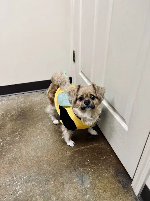 Wildcat Veterinary Clinic Picture 9