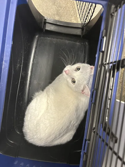 Wildcat Veterinary Clinic Picture 7