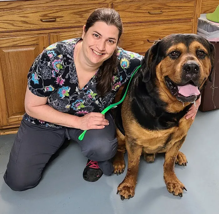 Louisburg Animal Clinic Picture 6