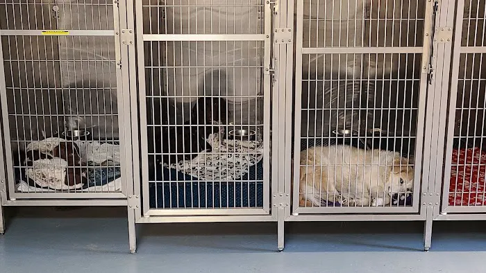 Louisburg Animal Clinic Picture 7