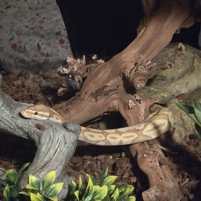 All Creatures Small Animal Picture 2