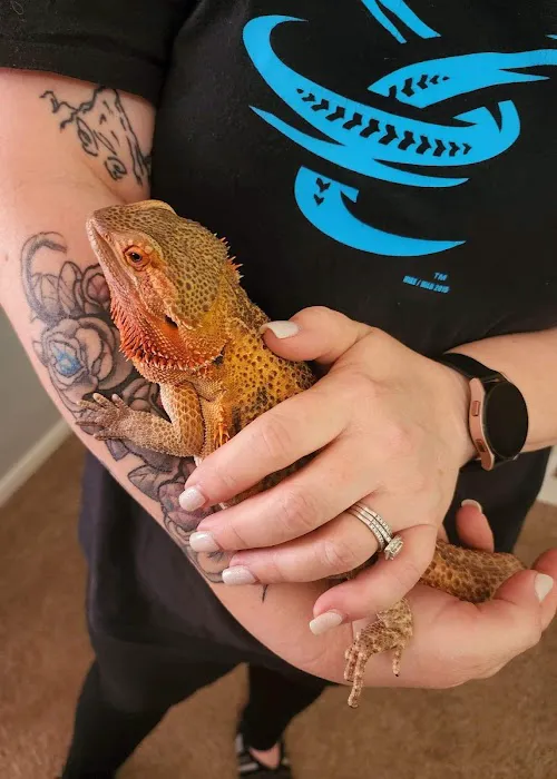 All Creatures Small Animal Picture 7