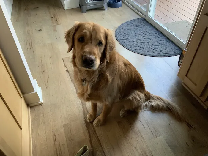 Lionsgate Pet Hospital Picture 1