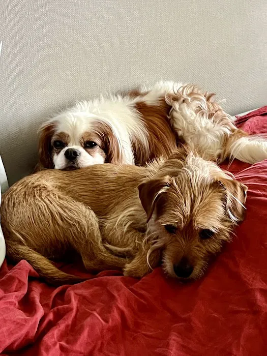 Lionsgate Pet Hospital Picture 4