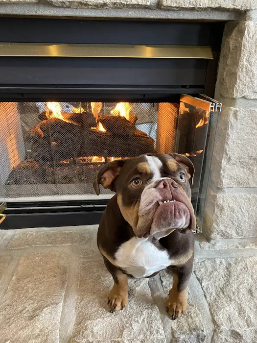 Lionsgate Pet Hospital Picture 6