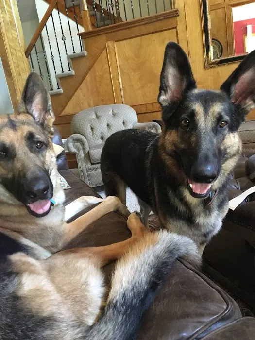 Lionsgate Pet Hospital Picture 7