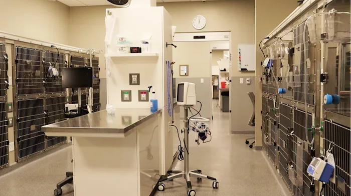 Overland Park Veterinary Emergency and Specialty Picture 8