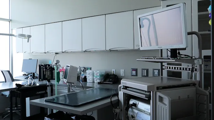 Overland Park Veterinary Emergency and Specialty Picture 9