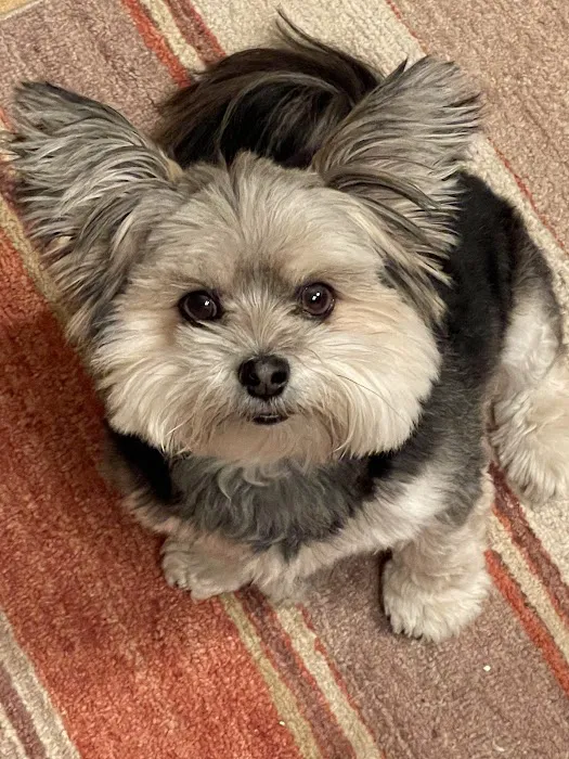 Stanley Veterinary Clinic Picture 2