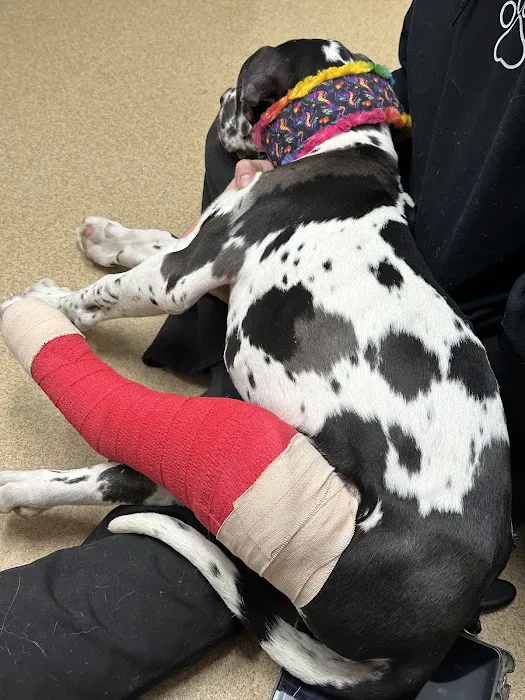 Stanley Veterinary Clinic Picture 1