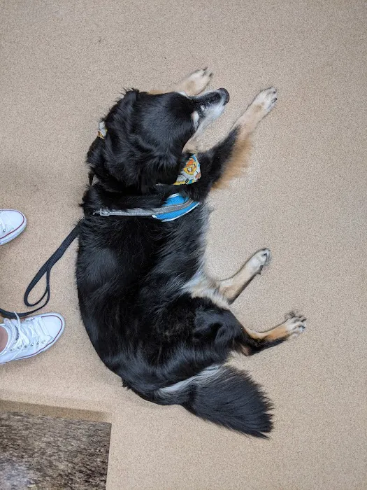 Stanley Veterinary Clinic Picture 5