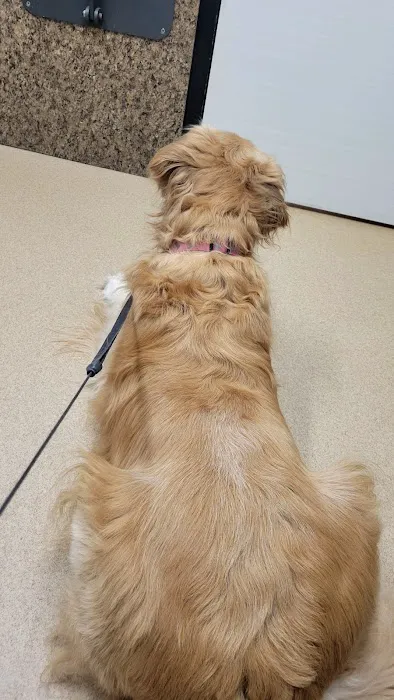 Stanley Veterinary Clinic Picture 8