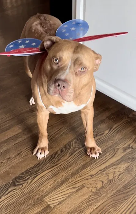 Stanley Veterinary Clinic Picture 10