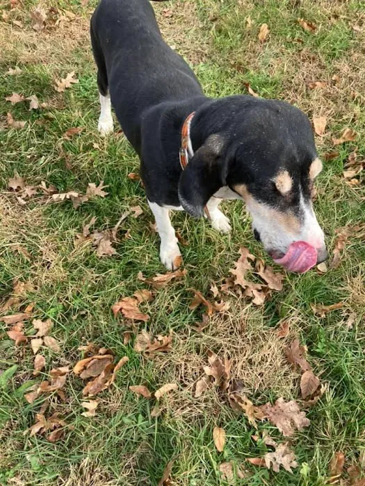 Rusty Waide DVM Picture 1