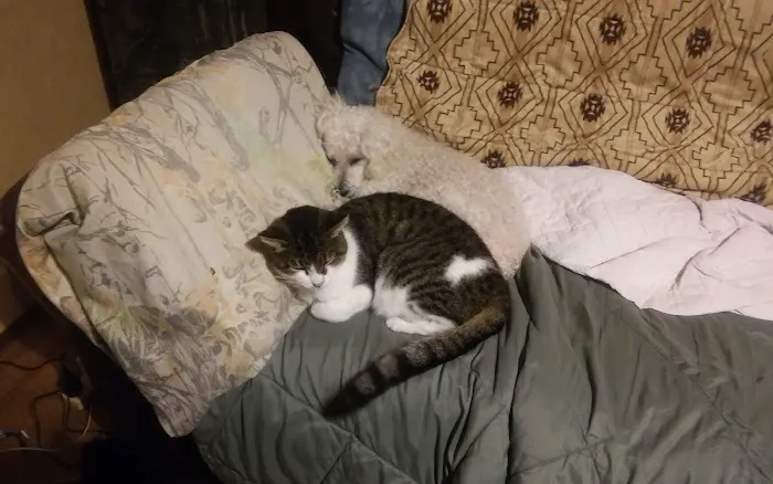 Rusty Waide DVM Picture 6