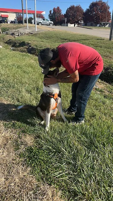 Buffalo Vet Clinic Picture 5
