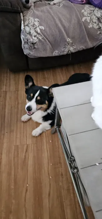 Buffalo Vet Clinic Picture 2