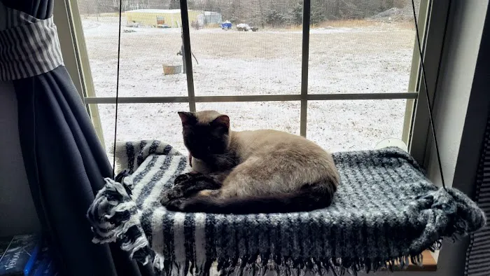 Buffalo Vet Clinic Picture 4