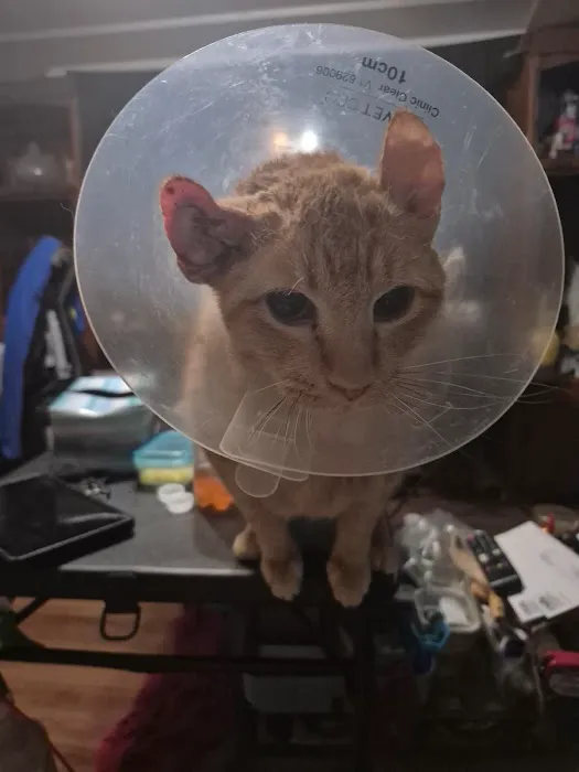 Buffalo Vet Clinic Picture 3