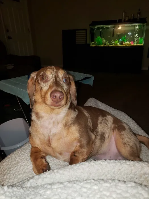 Buffalo Vet Clinic Picture 1