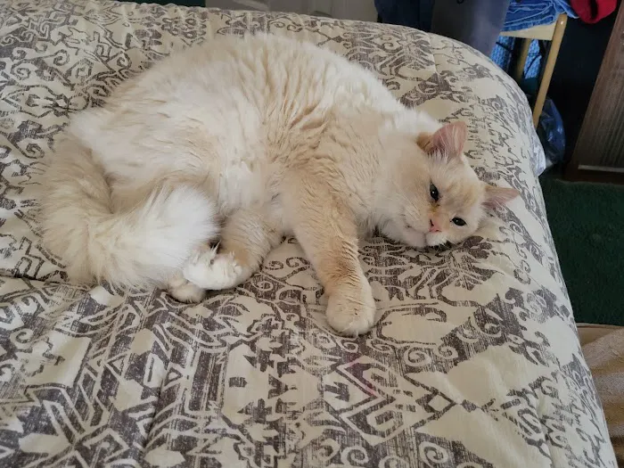 Buffalo Vet Clinic Picture 6