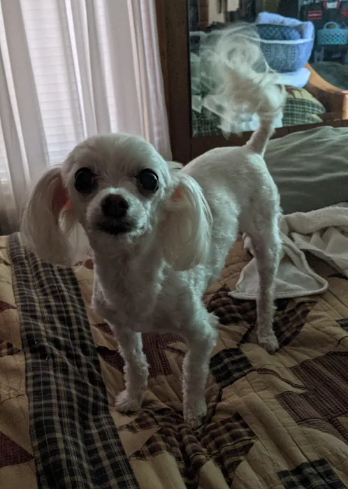 Buffalo Vet Clinic Picture 10