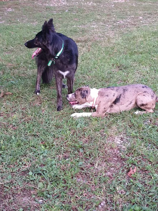 Moore Veterinary Clinic Picture 3