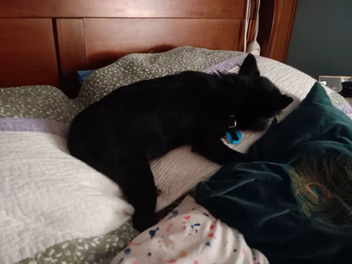 Moore Veterinary Clinic Picture 2