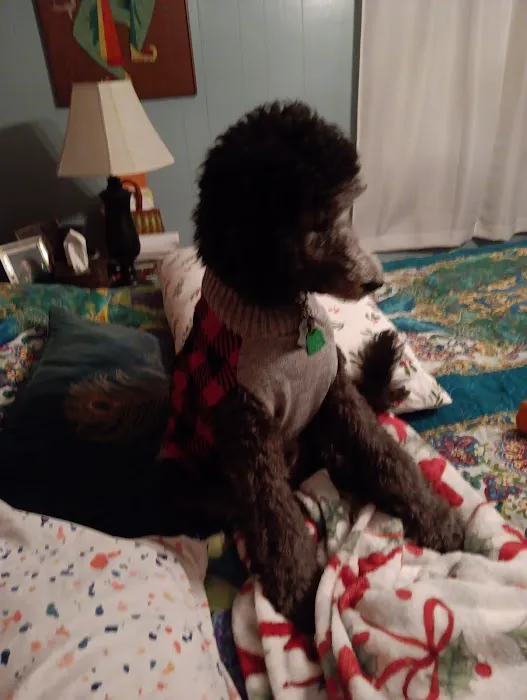 Moore Veterinary Clinic Picture 4