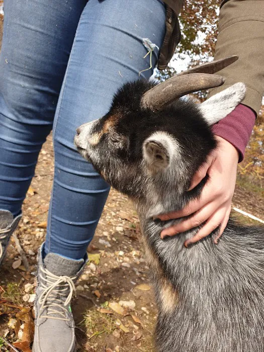 Moore Veterinary Clinic Picture 6