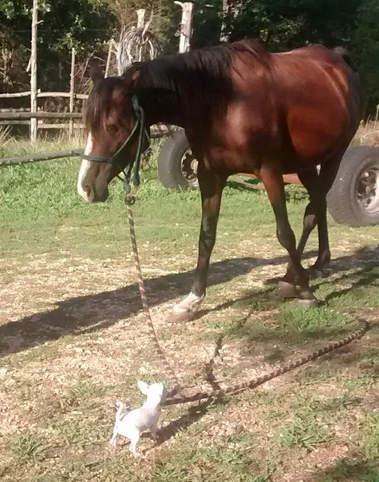 Moore Veterinary Clinic Picture 7