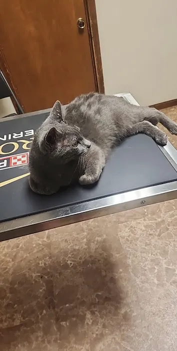 Moore Veterinary Clinic Picture 5