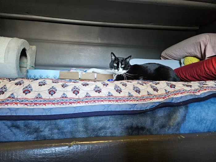 Bolivar Pet Hospital Picture 2