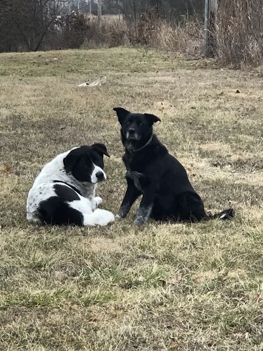 Bolivar Pet Hospital Picture 8