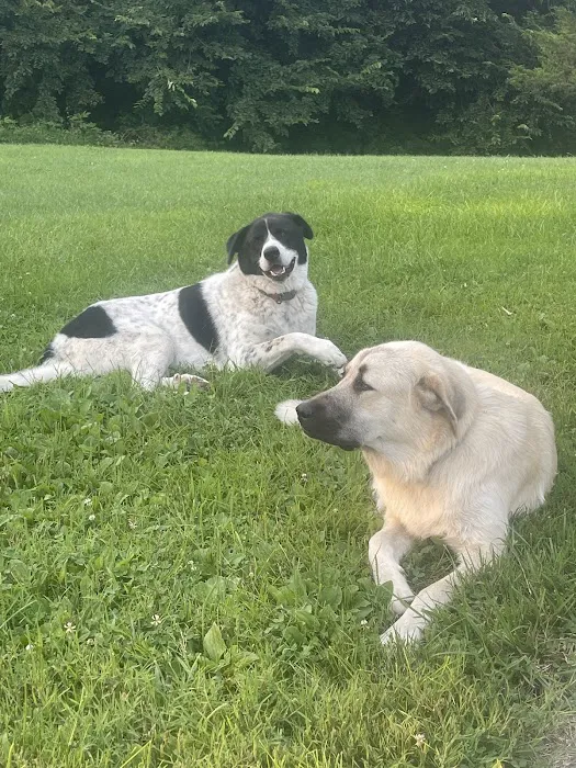 Bolivar Pet Hospital Picture 7