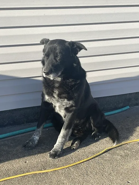 Bolivar Pet Hospital Picture 10