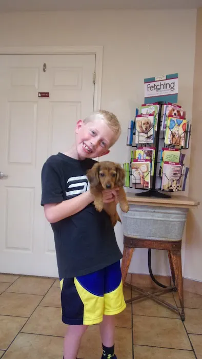 All Creatures Animal Clinic Picture 2