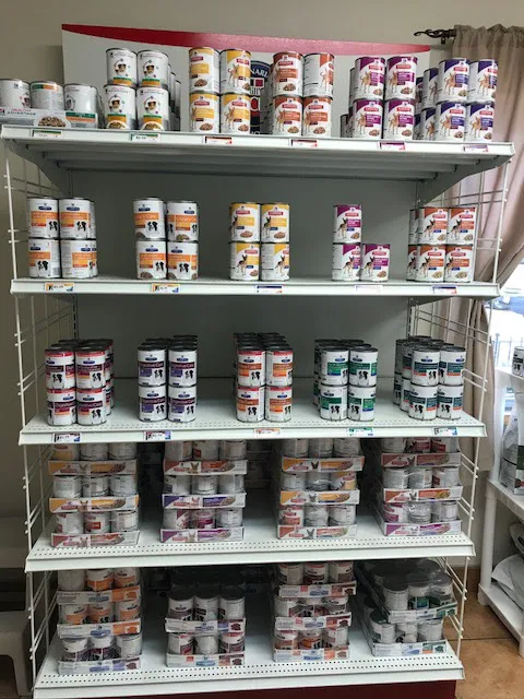 All Creatures Animal Clinic Picture 7